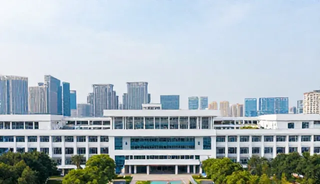 节点可查软件研发中的技术支持适用情况与限制
