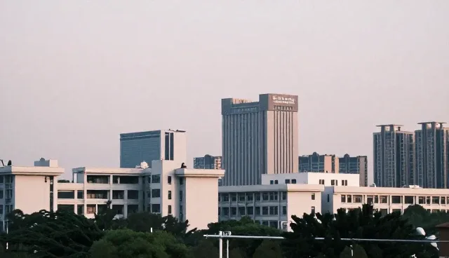 企业管理系统技术外包中的性能问题与适用条件分析